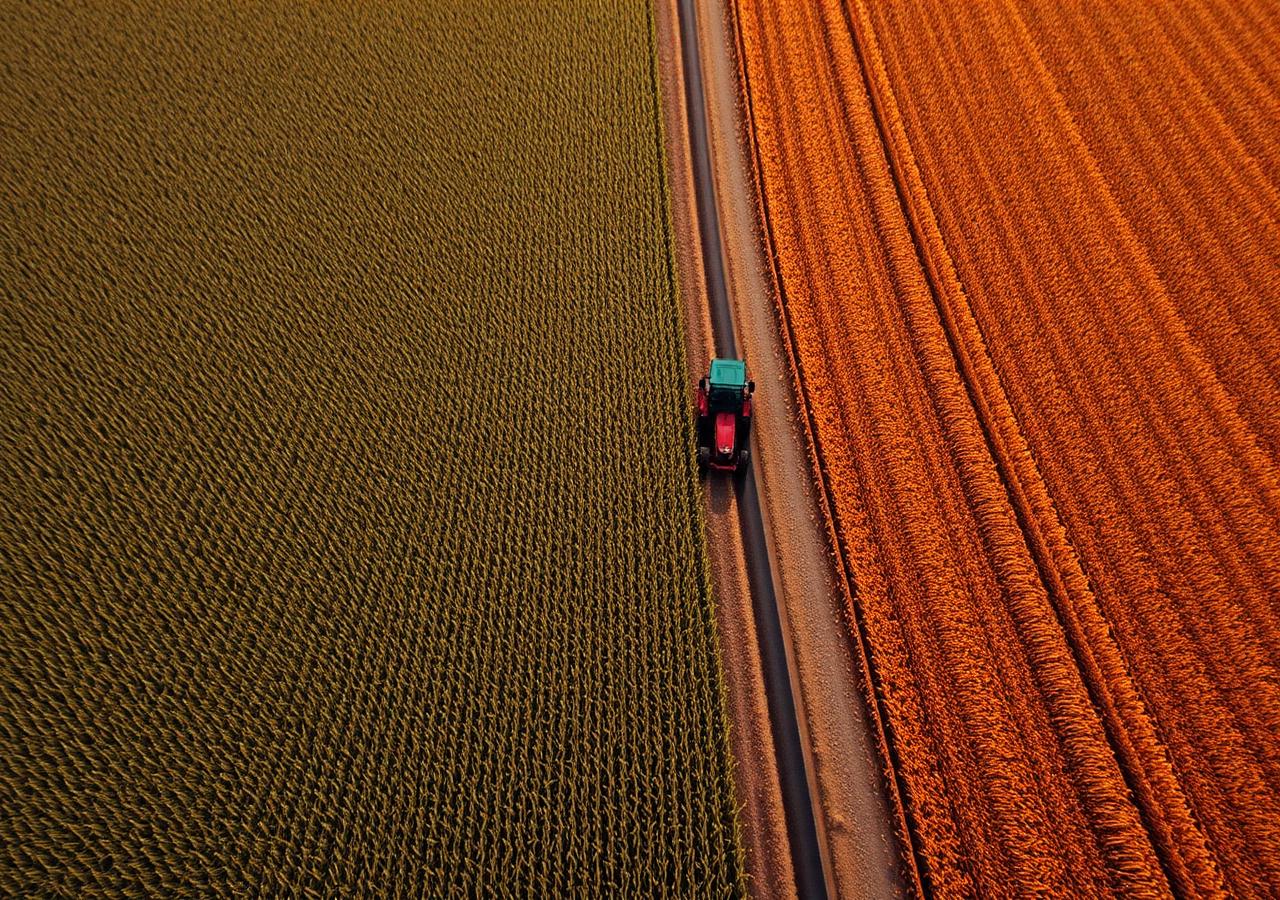Agro & Rural